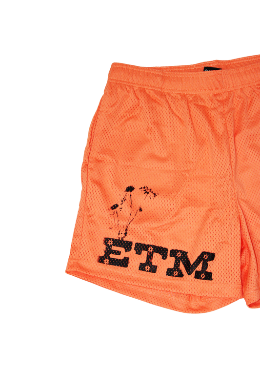 ETM mesh shorts